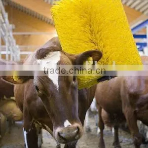 Cow Body Cleaning Brush Factory From China thumbnail-1