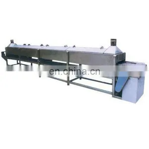 Professional Cucumber Pickles Processing Line thumbnail-2