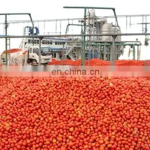 Genyond Ground Peeled Tomatoes Marinara Sauce in Food Processing Field thumbnail-4
