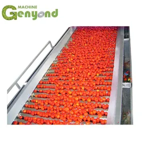 Factory Genyond Tomato Sauce Paste Ketchup Pulp Extraction Pulping Making Machine Fruit Jam Production Plant Processing Line thumbnail-5