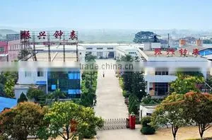 Zhangzhou Xiang Cheng Zhenxing Watch And Clock Co., Ltd. company overview - view 1 thumbnail