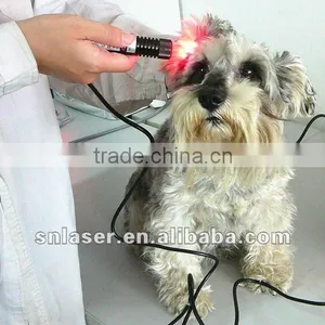 660nm & 810nm Veterinary Laser Instrument thumbnail-4