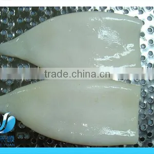 (squid Tube Squid Wings) Frozen Illex Squid thumbnail-4