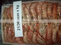 Red Shrimp (argentina) thumbnail-2