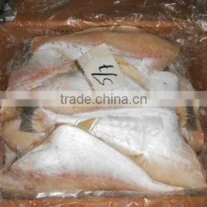 FROZEN LEATHER JACKET FISH thumbnail-5