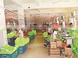 Jinhua Baidun Protection Tools Co., Ltd. company overview - view 3 thumbnail