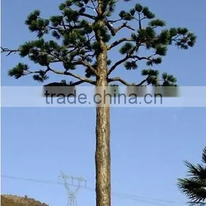 2014 New Product LED Lighting Palm Trees Outdoor Lighted Palm Trees Streetlight Tree China Manufacturer thumbnail-3