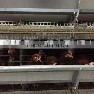Chicken Farming Equipment Chicken Cage thumbnail-1