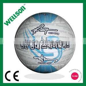 Signature Volleyball for Fans thumbnail-1