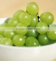 Fresh Spray Dried Grape Powder thumbnail-1