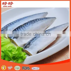 Frozen Mackerel Fillet thumbnail-2
