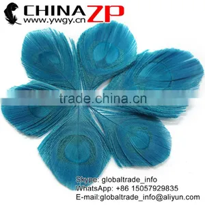 Leading Supplier CHINAZP Wholesale Wonderful Good Dyed Turquoise Trimmed Peacock Feathers Eyes for Earrings thumbnail-1