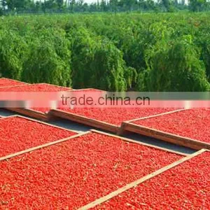 Hot Selling Goji Berry or Goji Berries thumbnail-2