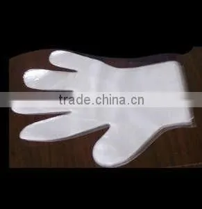 Disposable PE Glove thumbnail-1