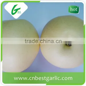 Bulk Fresh Crown Pear From Hebei thumbnail-5