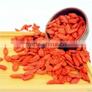Ningxia Conventional Dried Goji Berries for Sale thumbnail-1
