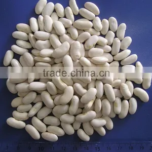 White Haricot Beans thumbnail-1