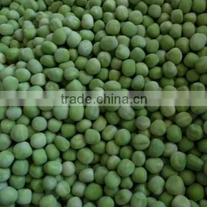 IQF/ Frozen Fresh Green Peas Grade A/B in 2015 thumbnail-3