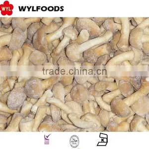 IQF Mushroom Grade B Nameko Wholesale Price thumbnail-4