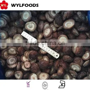 Supply Shiitake Mushroom Whole Frozen IQF in China Market thumbnail-1