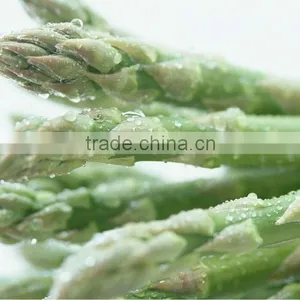 IQF Green Asparagus thumbnail-2