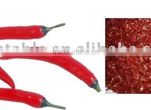 Dehydrated Chopped Chilli thumbnail-1