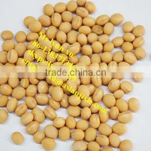 Bean Peeling Machine /Broad Bean Skin Removing Machine thumbnail-5