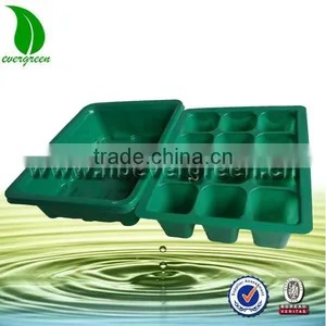 Green Color Plastic Material Seed Tray With Lids thumbnail-1