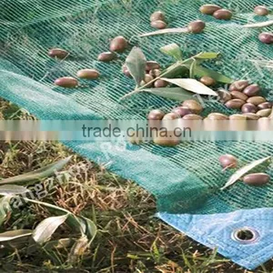 China Direct Factory/ High Quality / Longterm Usage/ Olive Net thumbnail-1