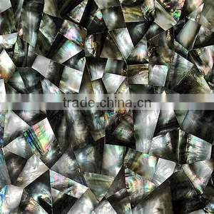 Shell Mop Gorgeous Tiles thumbnail-1