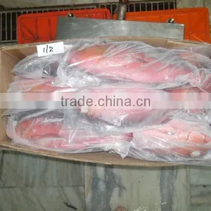 Frozen Red Snapper Whole thumbnail-3
