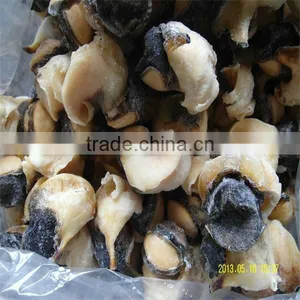 Frozen Sea and Cooking Carved Conch Shells thumbnail-1