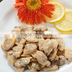 Delicious Frozen Baby Clam Meat Export Levels Quality thumbnail-1