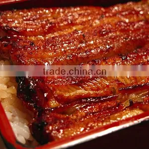 Frozen Prepared Eel (Unagi) Fillet thumbnail-1