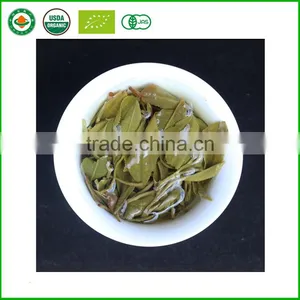 Extract Aged Puer Tea Raw Pu'er Tea! Puer Slim Tea thumbnail-2