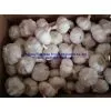 5.5cm Garlic in Mesh Bag thumbnail-2