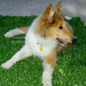 306814-S Artificial Grass Mat for PET Supplier thumbnail-1