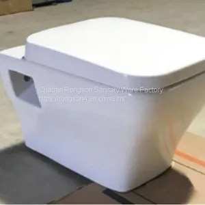 Wall Hung Toilet Fittings With Bidet Sanitary Ware thumbnail-5
