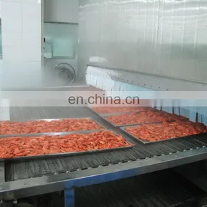 Deep Freezer Machine Individual Quick Freezing Equipment Frozen Fruit Machine thumbnail-4
