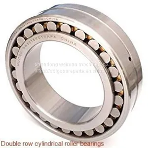 Double Row Cylindrical Roller Bearings thumbnail-1