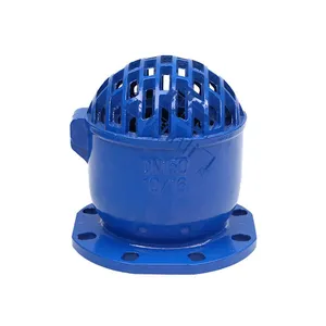 Newly Designed High Quality and Large Flow Bottom Valve Durable Flange Water Pump Bottom Valve thumbnail-1