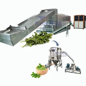 Moringa Leaf Continuous Drying Machine Moringa Drying Grinding Production Line EPC thumbnail-1