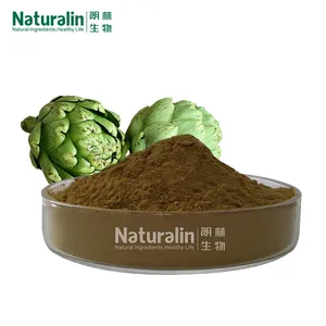 Artichoke Extract thumbnail-1