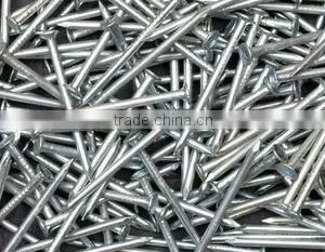Produce All Kinds of Common Nail thumbnail-1