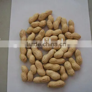 Chinese Peanut Inshell 11/13 thumbnail-1
