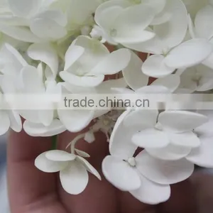 Elegant in Smell Hot-sale Hydrangea Flower for Sale thumbnail-2