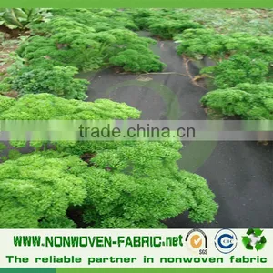 TNT Spunbond Nonwoven Fabric for Agricultural Freeze Protection,weed Control thumbnail-3