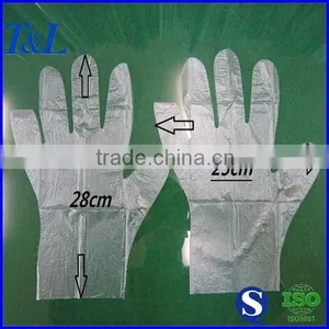 Best Popular Good Quality and Cheap Biodegradable Plastic Gloves for Kitchen Usage Manufactured by Factory T&L Brand thumbnail-1