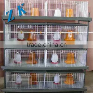 Galvanized Steel for Chicken Cages thumbnail-1