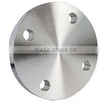 CLASS 100 Titanium Blind BL Flange thumbnail-5